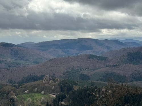 Fleckenstein - Loewenstein - Hohenbourg - Schlossberg