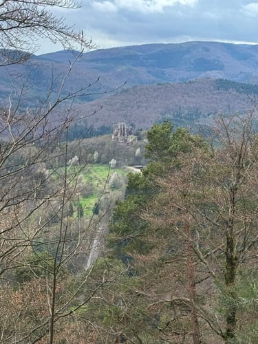 Fleckenstein - Loewenstein - Hohenbourg - Schlossberg