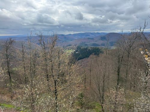 Fleckenstein - Loewenstein - Hohenbourg - Schlossberg