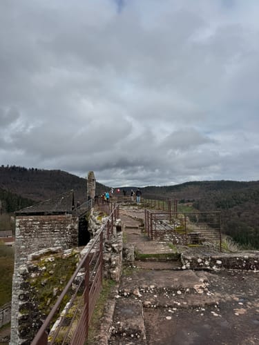 Fleckenstein - Loewenstein - Hohenbourg - Schlossberg