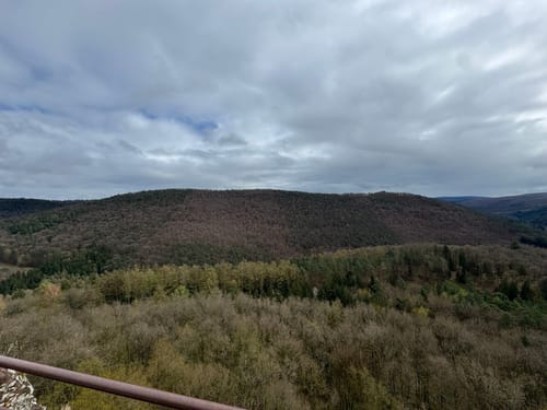 Fleckenstein - Loewenstein - Hohenbourg - Schlossberg