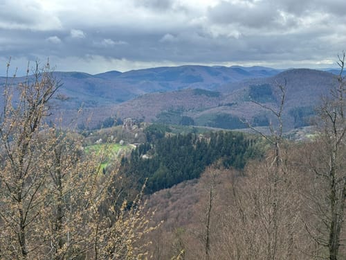 Fleckenstein - Loewenstein - Hohenbourg - Schlossberg