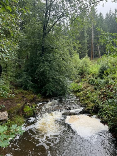 Eifelsteig Etappe 2: Roetgen - Monschau [CLOSED]