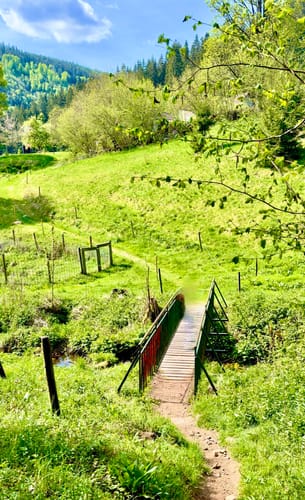 Hochschwarzwälder Hirtenpfad (Genießerpfad)