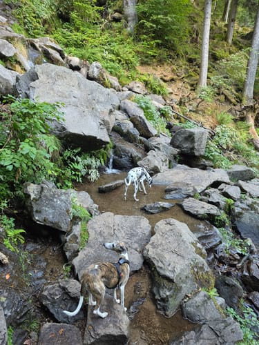 Sankt Märgen zu den Zweribach-Wasserfällen