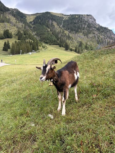 Rubihorn und Unterer Gaisalpsee