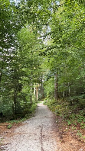 Wandern im ZugspitzLand - Grainau Badersee