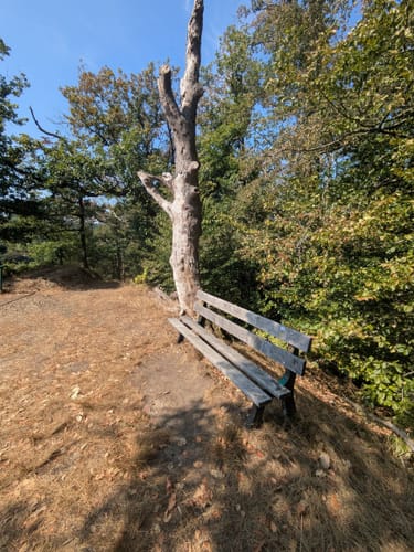 Rund um Pfaffenberg