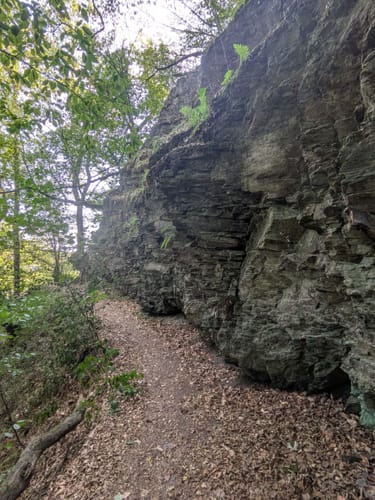 Rund um Pfaffenberg