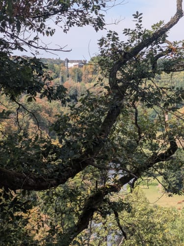 Rund um Pfaffenberg