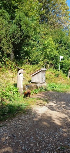 Zweribachwasserfälle