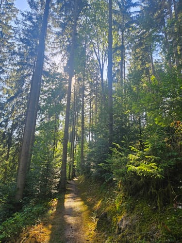Reiglesburg Trail Run