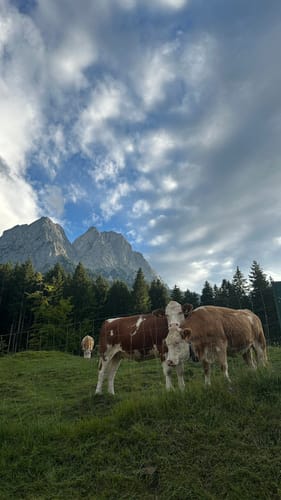 Höllentalangerhütte über Höllental