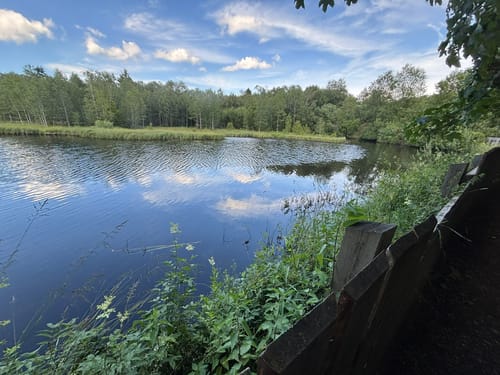 Kaskadenschlucht und Rotes Moor ab Sandberg