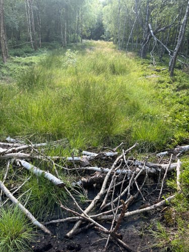Kaskadenschlucht und Rotes Moor ab Sandberg