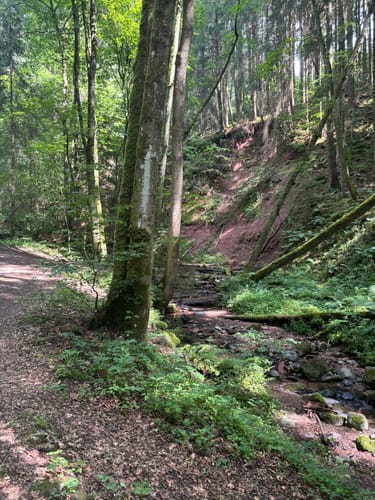 Kaskadenschlucht und Rotes Moor ab Sandberg