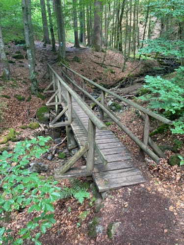 Kaskadenschlucht und Rotes Moor ab Sandberg