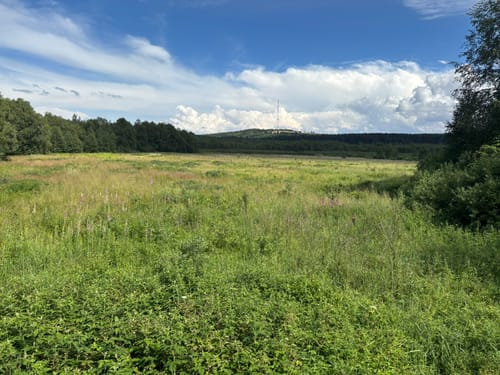 Kaskadenschlucht und Rotes Moor ab Sandberg
