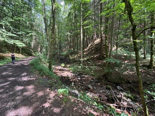 Kaskadenschlucht und Rotes Moor ab Sandberg