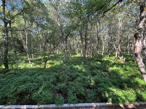 Kaskadenschlucht und Rotes Moor ab Sandberg