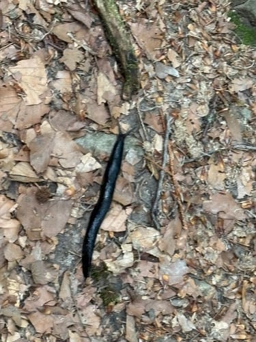 Kaskadenschlucht und Rotes Moor ab Sandberg