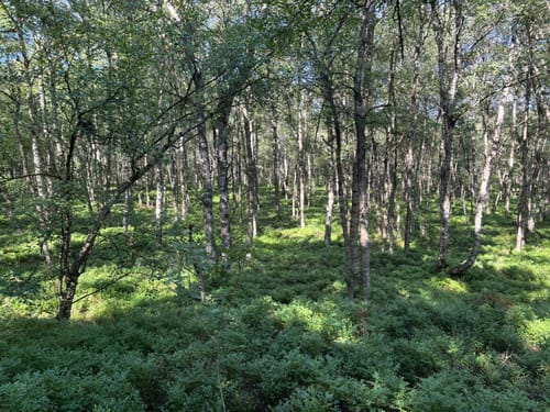 Kaskadenschlucht und Rotes Moor ab Sandberg
