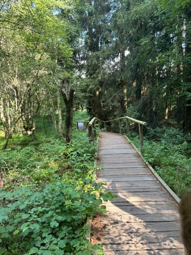 Kaskadenschlucht und Rotes Moor ab Sandberg