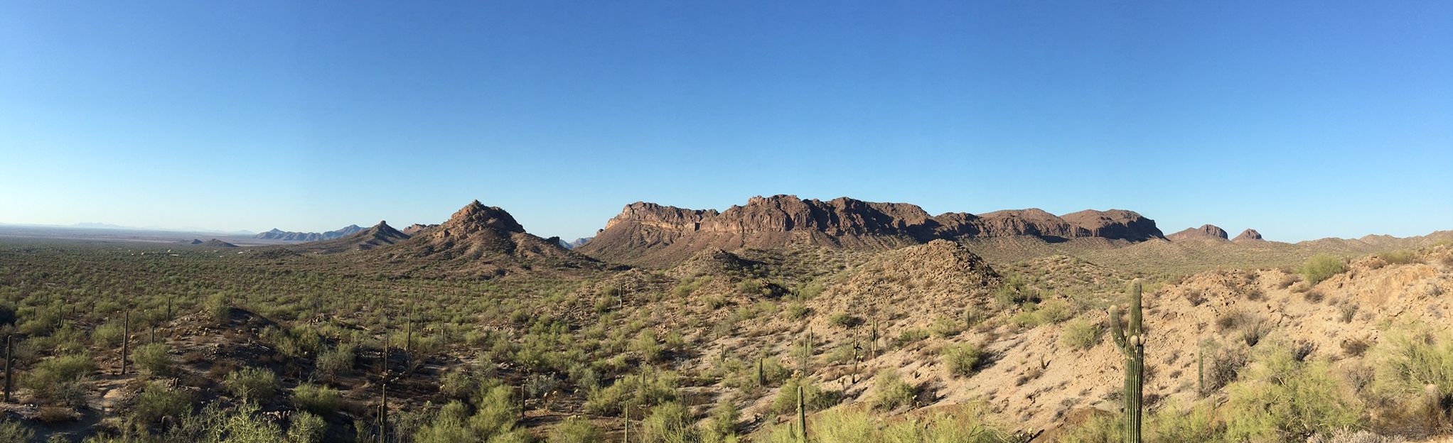 San Tan Trails