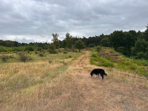 Rundwanderung bei Gudendorf