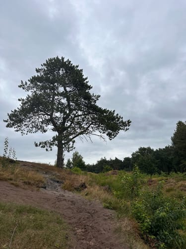Rundwanderung bei Gudendorf