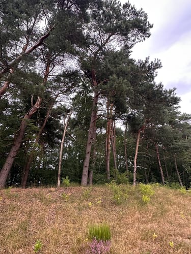 Rundwanderung bei Gudendorf