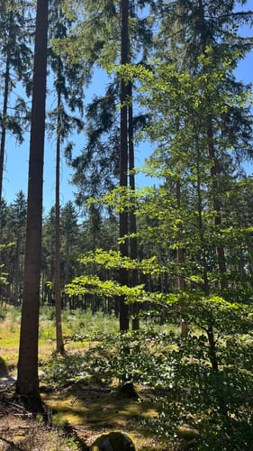 Otterbachtal