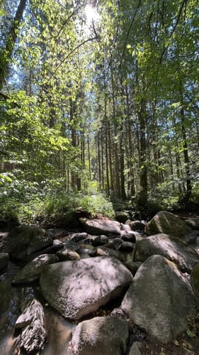 Otterbachtal