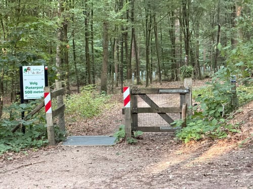 Radrundwanderweg Brüggen