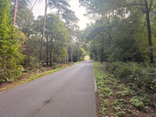 Radrundwanderweg Brüggen