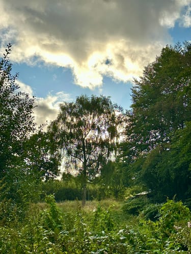 Von Aurich zum Kloster Ihlow