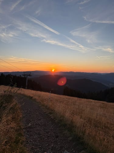 Vom Belchenhaus ins Tal