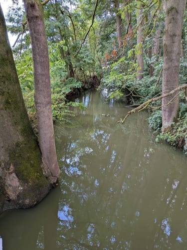 Dillenberg und Druidenstein