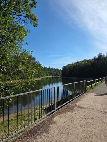 Bärensee Rundweg