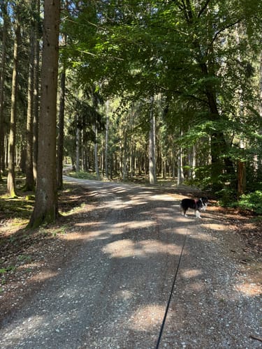 Massborn, Fuchstanz und Weiße Mauer Rundweg