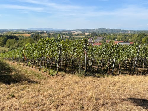 Wandern und Genießen 2020