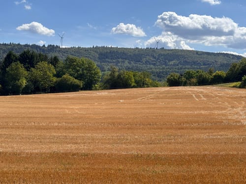 Wandern und Genießen 2020