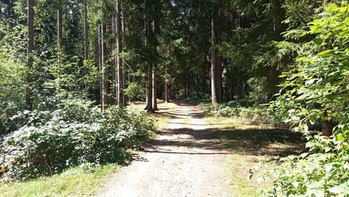 Panoramaweg (La02)