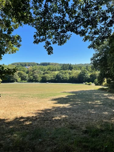 Herzkämper Mulde Weg
