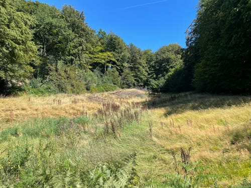 Herzkämper Mulde Weg
