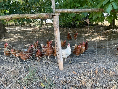 Herzkämper Mulde Weg
