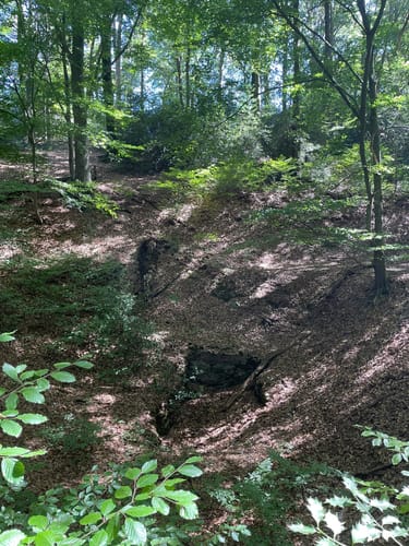 Herzkämper Mulde Weg