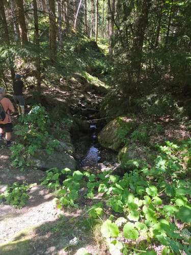 Eibenstock - Blauenthaler Wasserfall