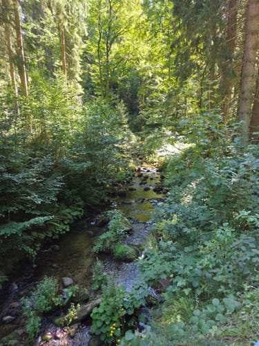 Eibenstock - Blauenthaler Wasserfall