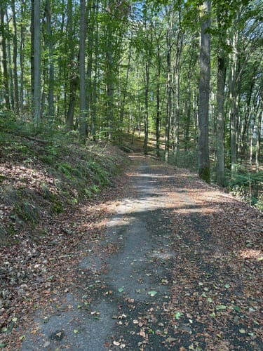 Von Zeil am Main aufs Zeiler Käppele